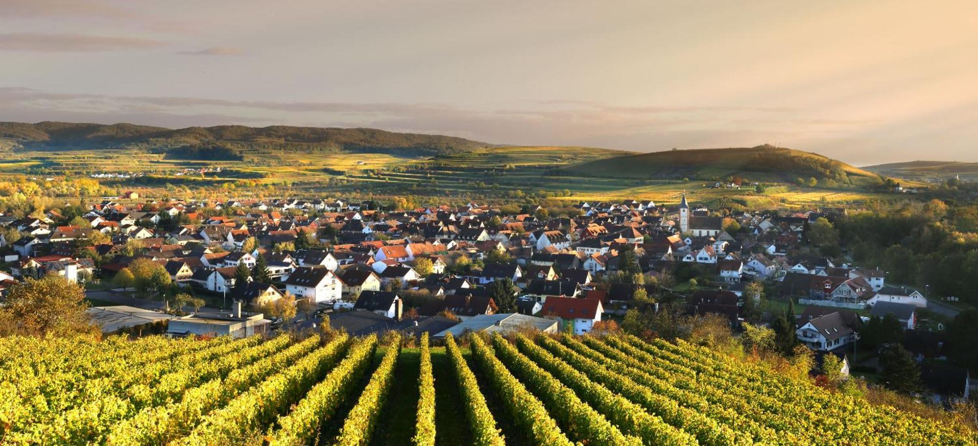 Ferienhof Schloessle Sasbach am Kaiserstuhl Exterior foto